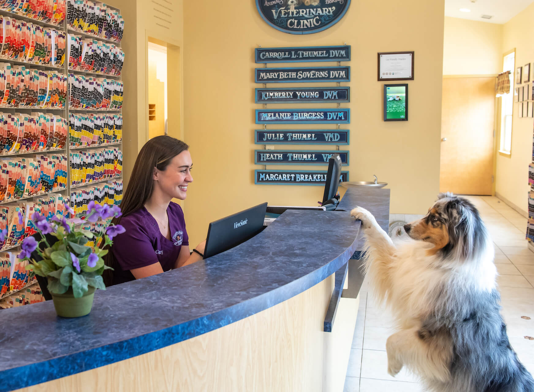 Countryside Reception Desk