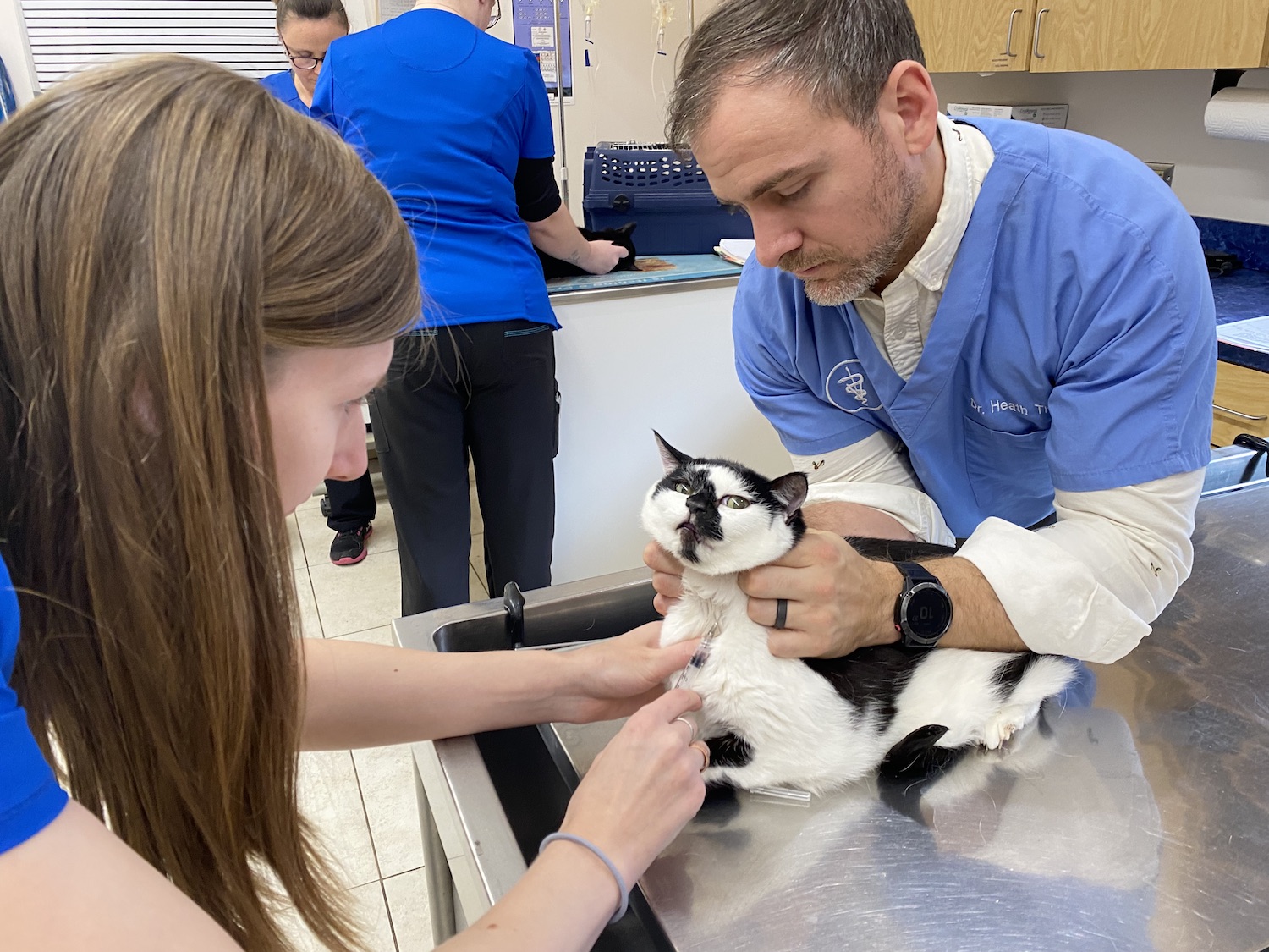 Cat Lab Testing