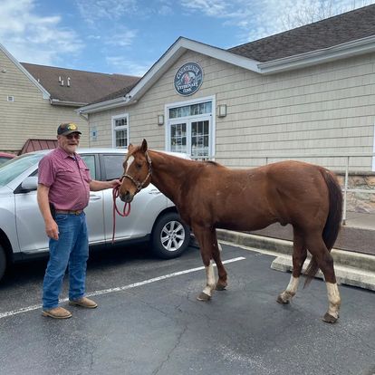 ellicott city maryland veterinarians