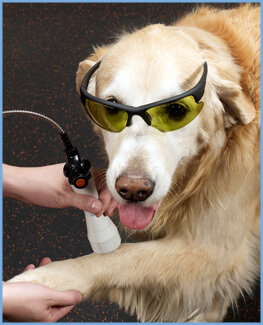 laser-therapy