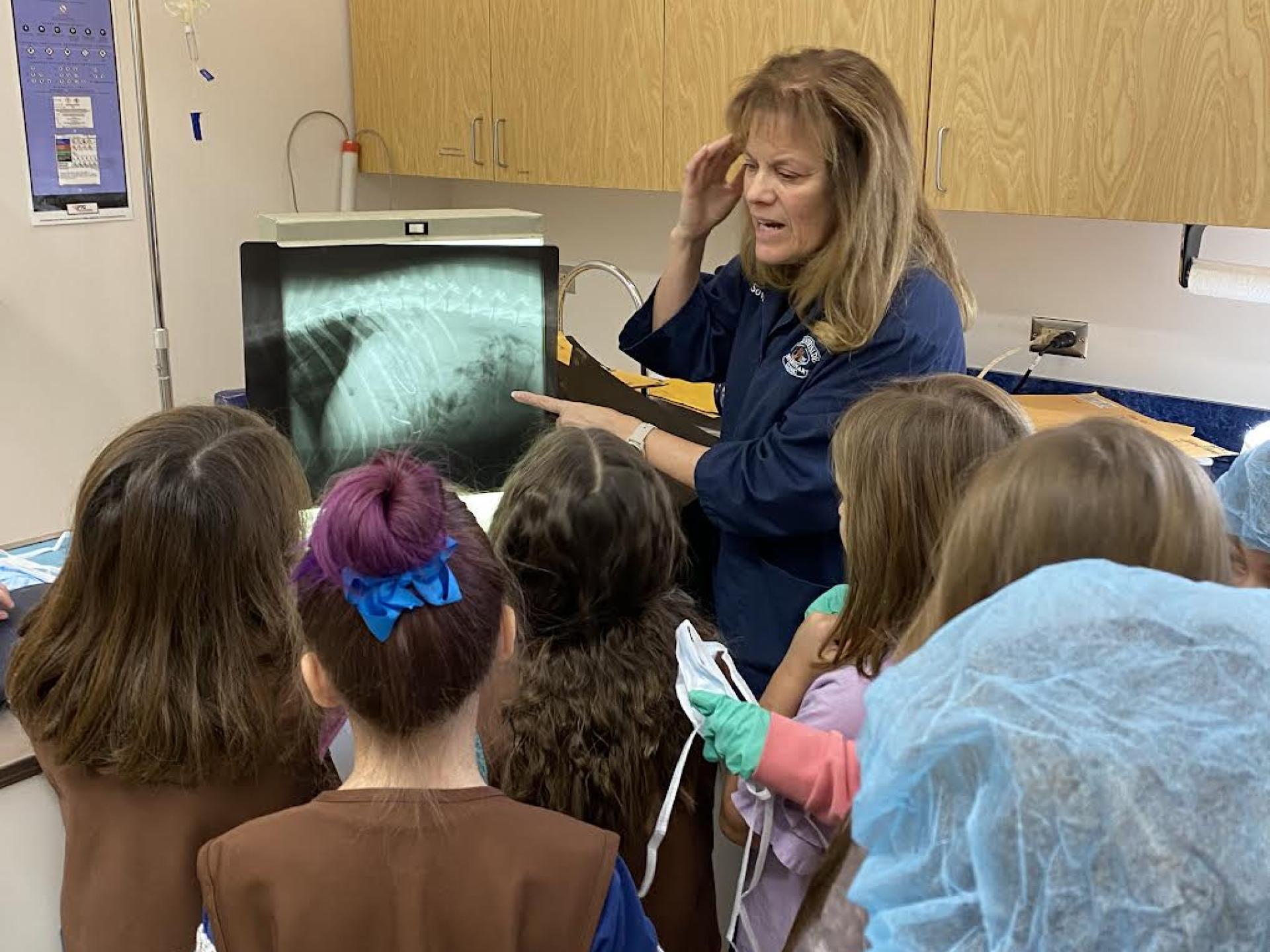 Community Countryside Veterinary Clinic