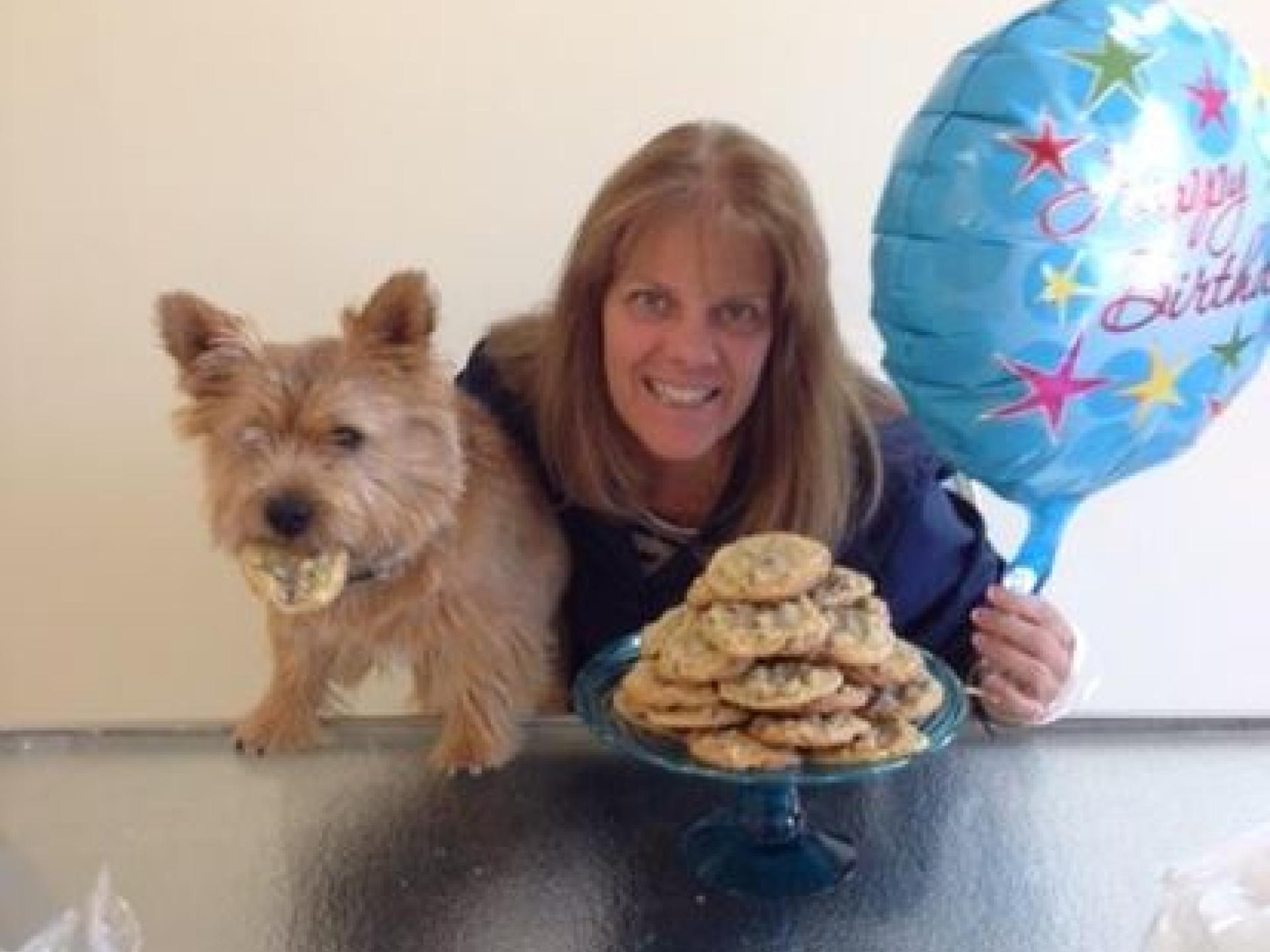 Culture Countryside Veterinary Clinic