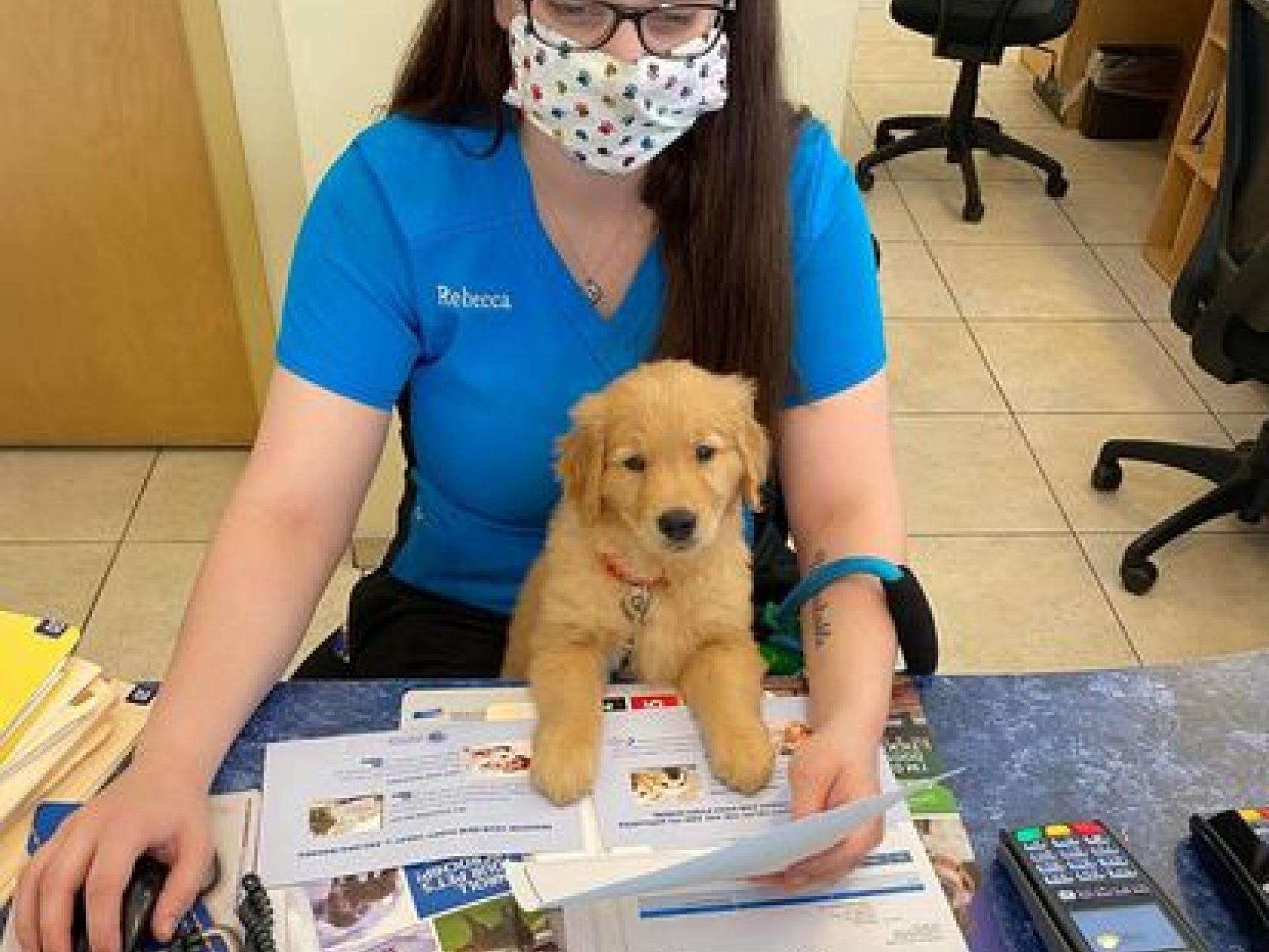 Culture Countryside Veterinary Clinic