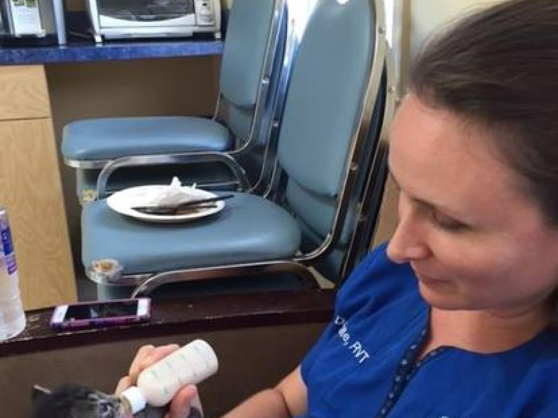 Culture Countryside Veterinary Clinic