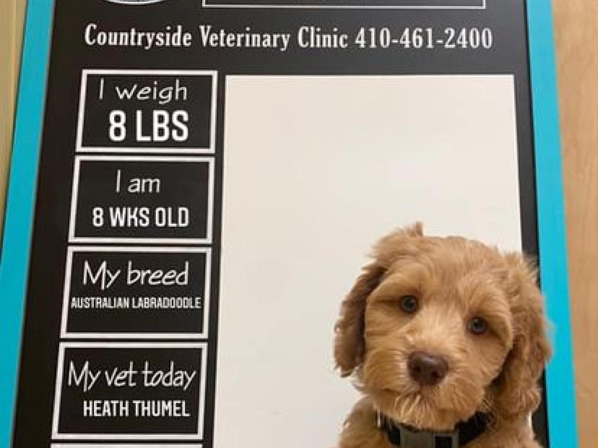 Culture Countryside Veterinary Clinic