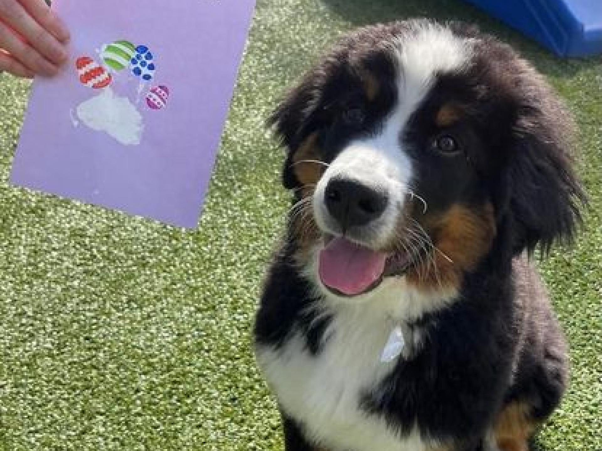 Culture Countryside Veterinary Clinic