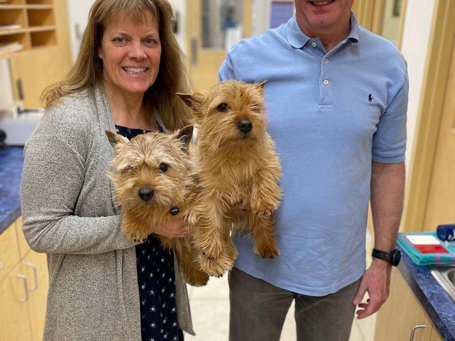 Culture Countryside Veterinary Clinic