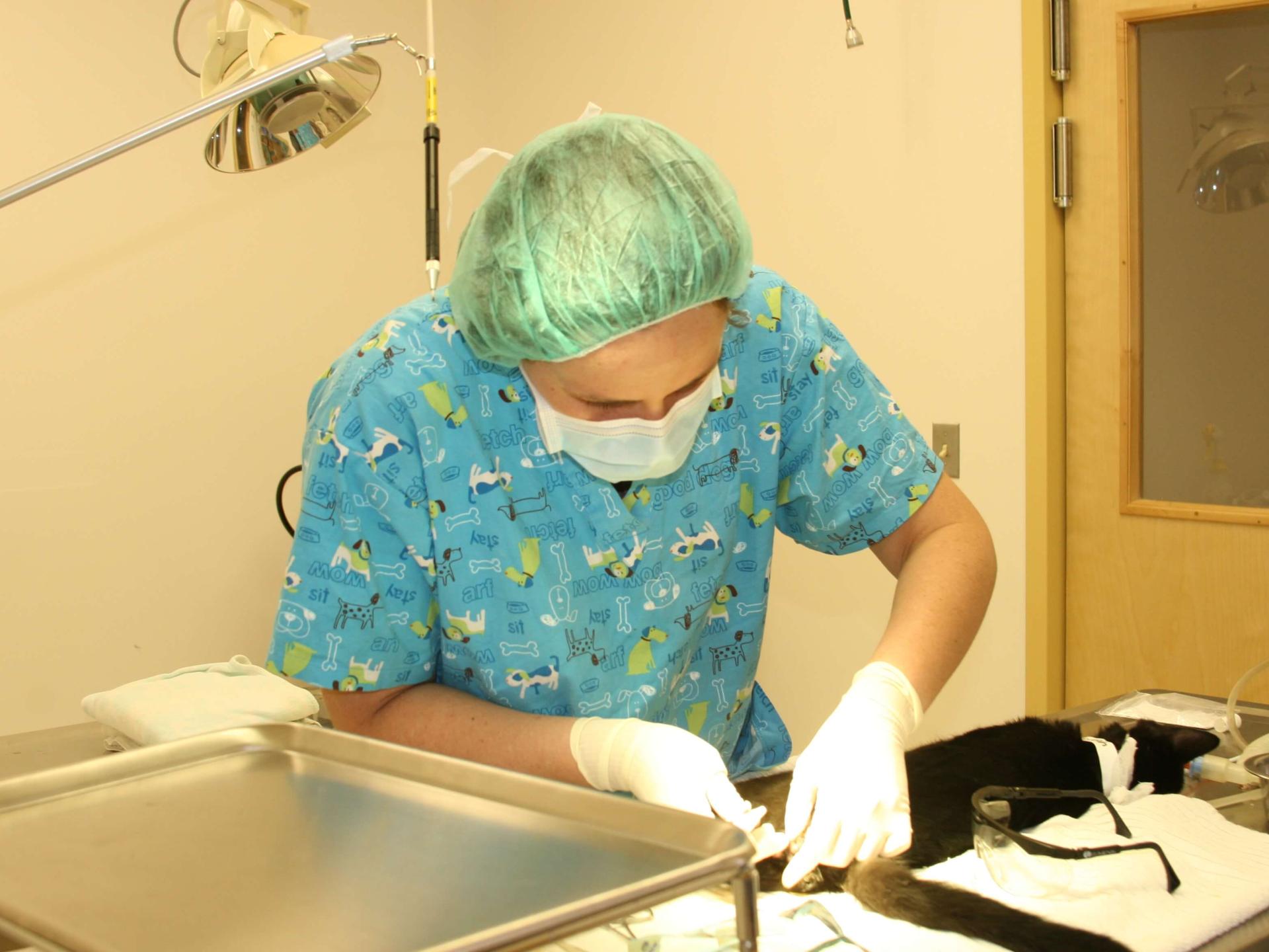 surgical_care